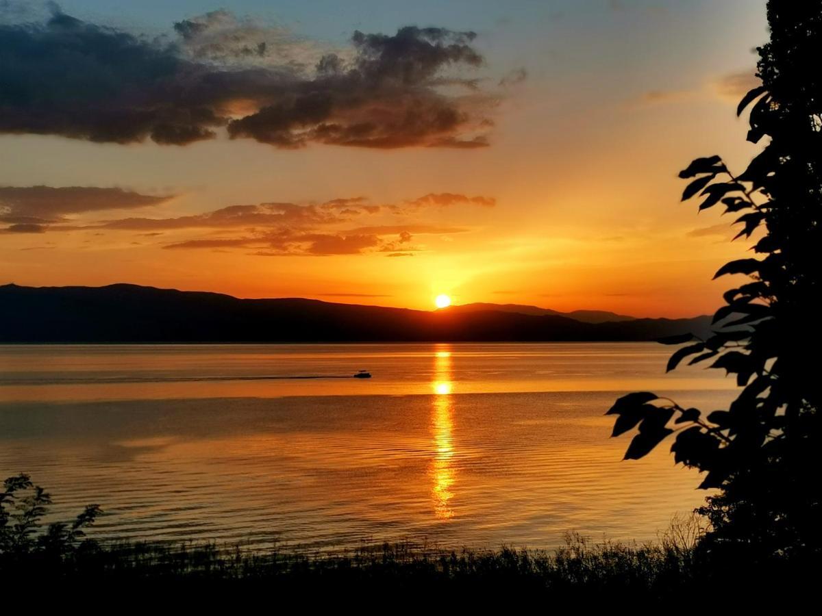 Villa Kalina Ohrid Eksteriør billede