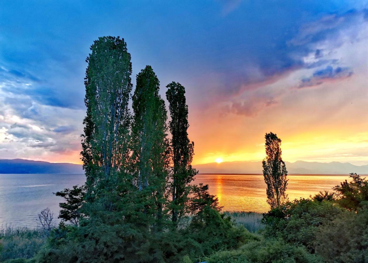 Villa Kalina Ohrid Eksteriør billede
